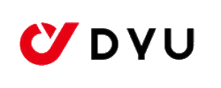 DYU E-Bikes